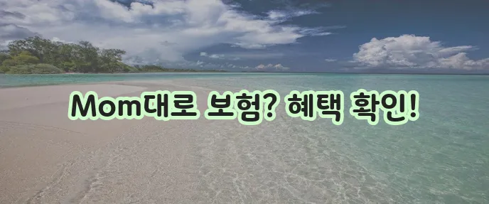 메리츠 The좋은 내Mom대로 보장보험 보험후기 및 상품설명