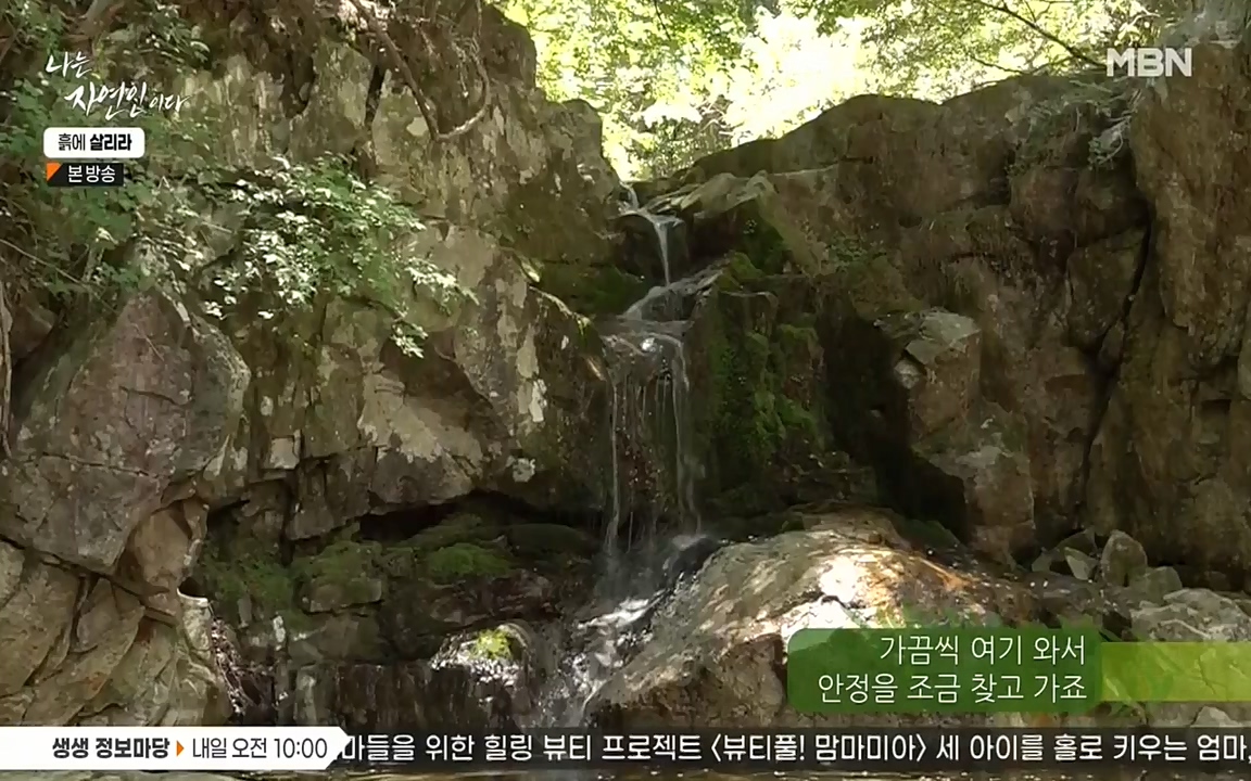 나는 자연인이다.E507.220623p-NEXT.mp4_20220623_204036.884.jpg