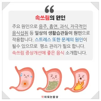 식후 속쓰림 원인 해결법 총정리_10