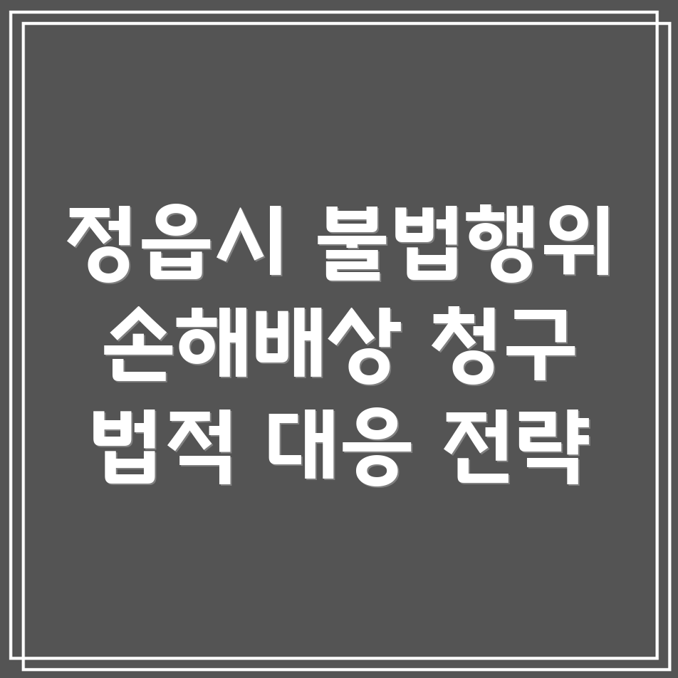 정읍시 불법행위 손해배상