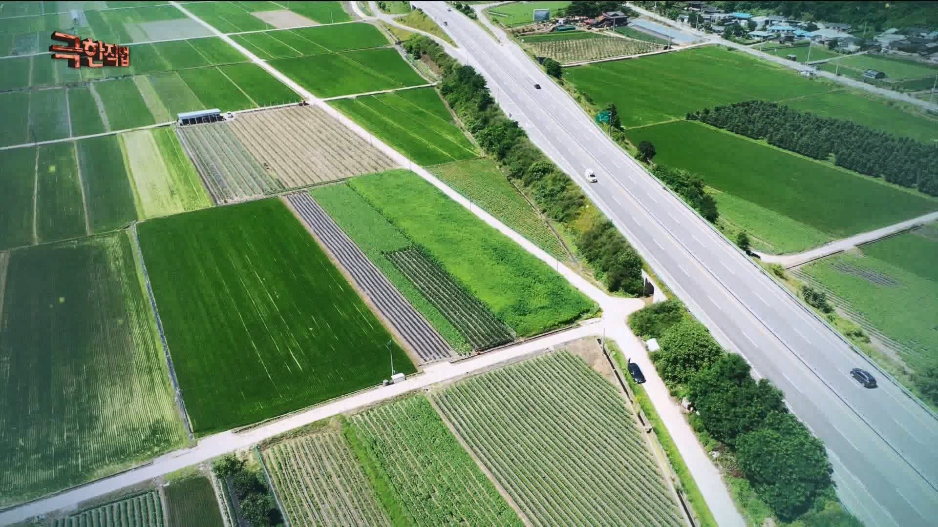 [극한 직업] 삼베 제작과 농어잡이 230812p.mp4_20230814_204000.152.jpg