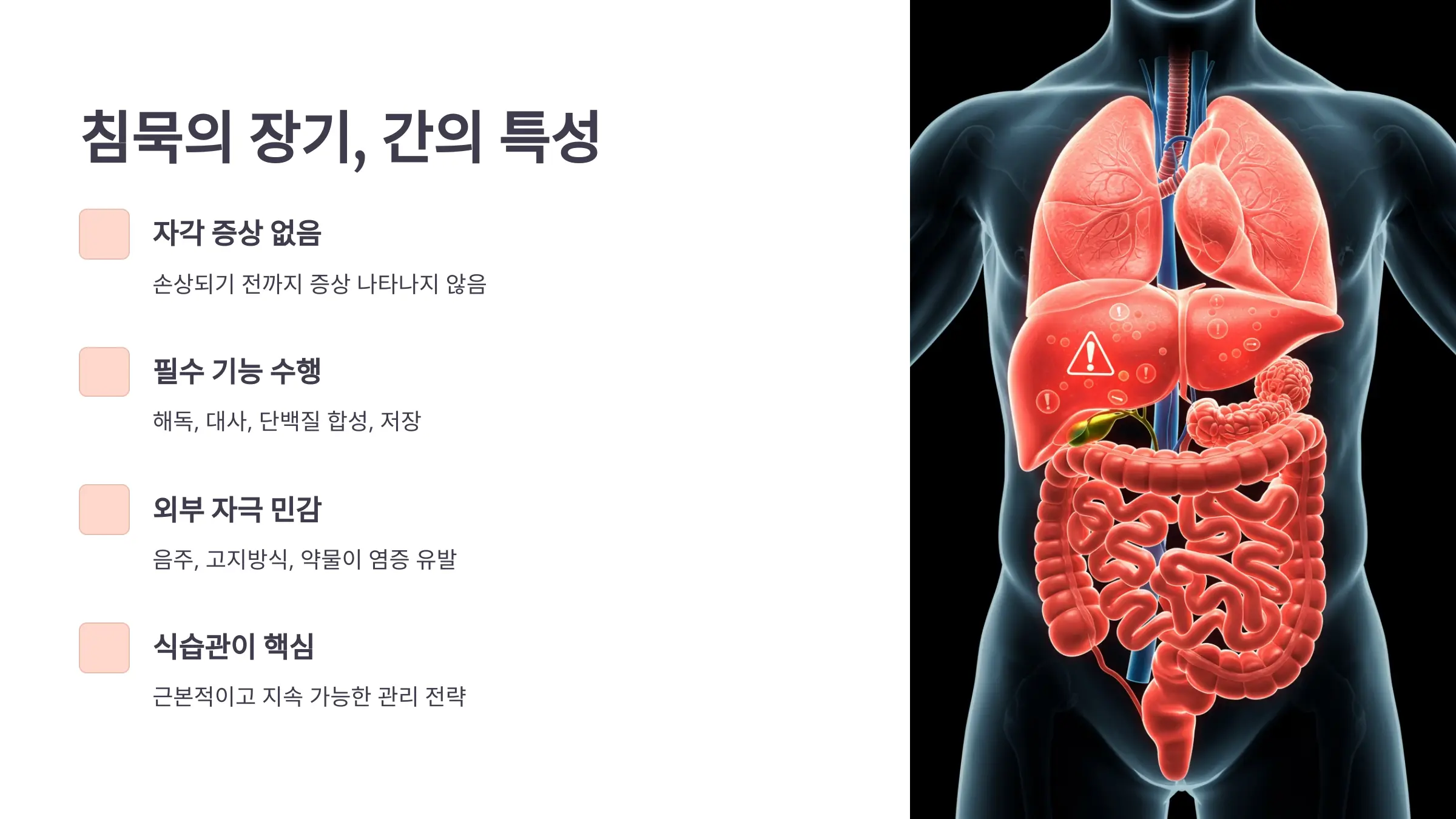 간, 침묵의 장기 그리고 경고 없는 붕괴
