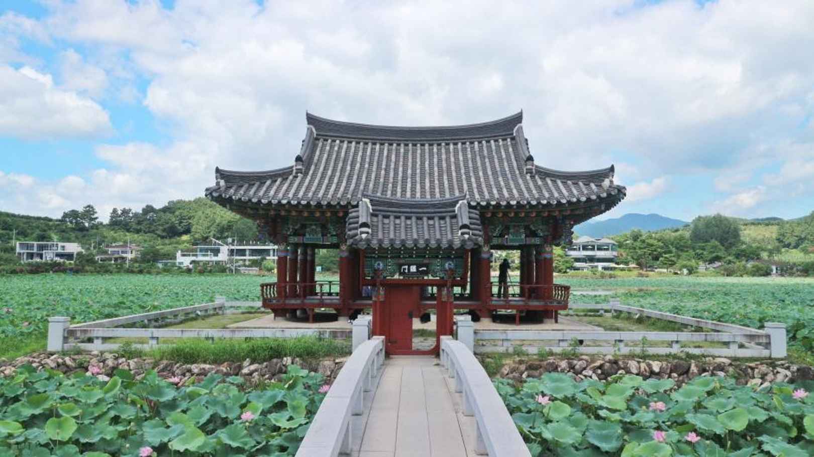 유등연지