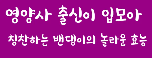 영양사 출신이 입모아 칭찬하는 밴댕이의 놀라운 효능