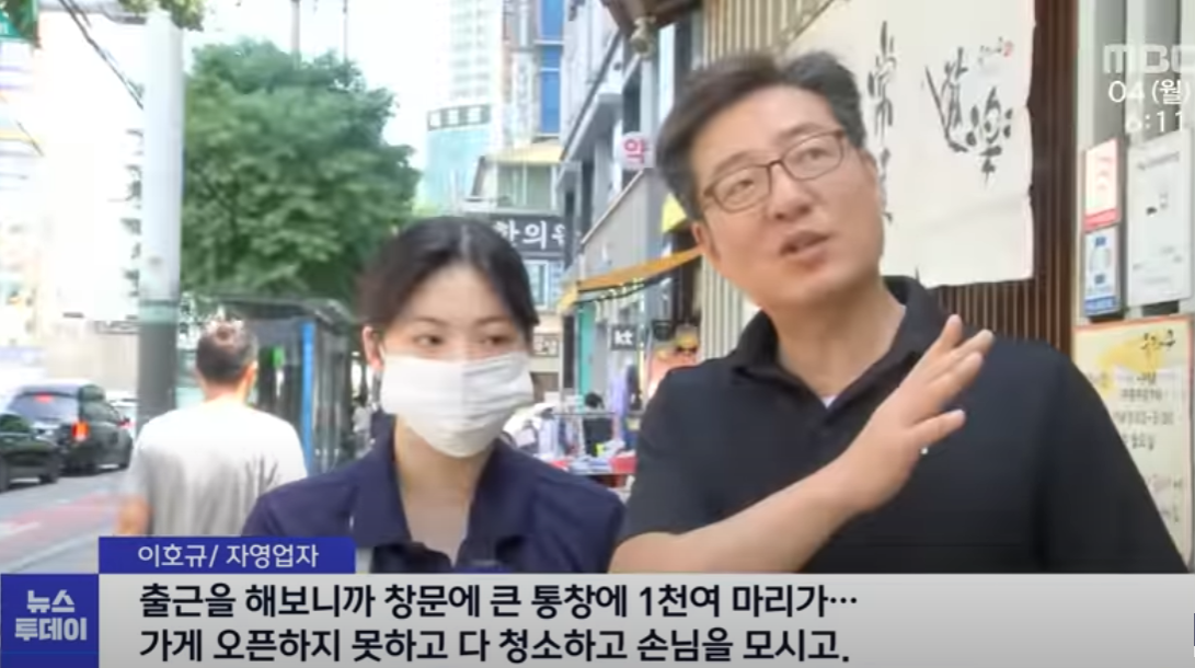  은평구에 다시 출몰한 러브버그 퇴치법 정보 알아보기