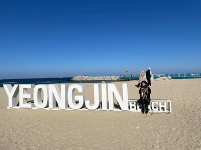 -영진해변,영진횟집,바우카페, 파인힐 애견펜션,속초중앙시장 설연휴 분홍이와의 여행 31