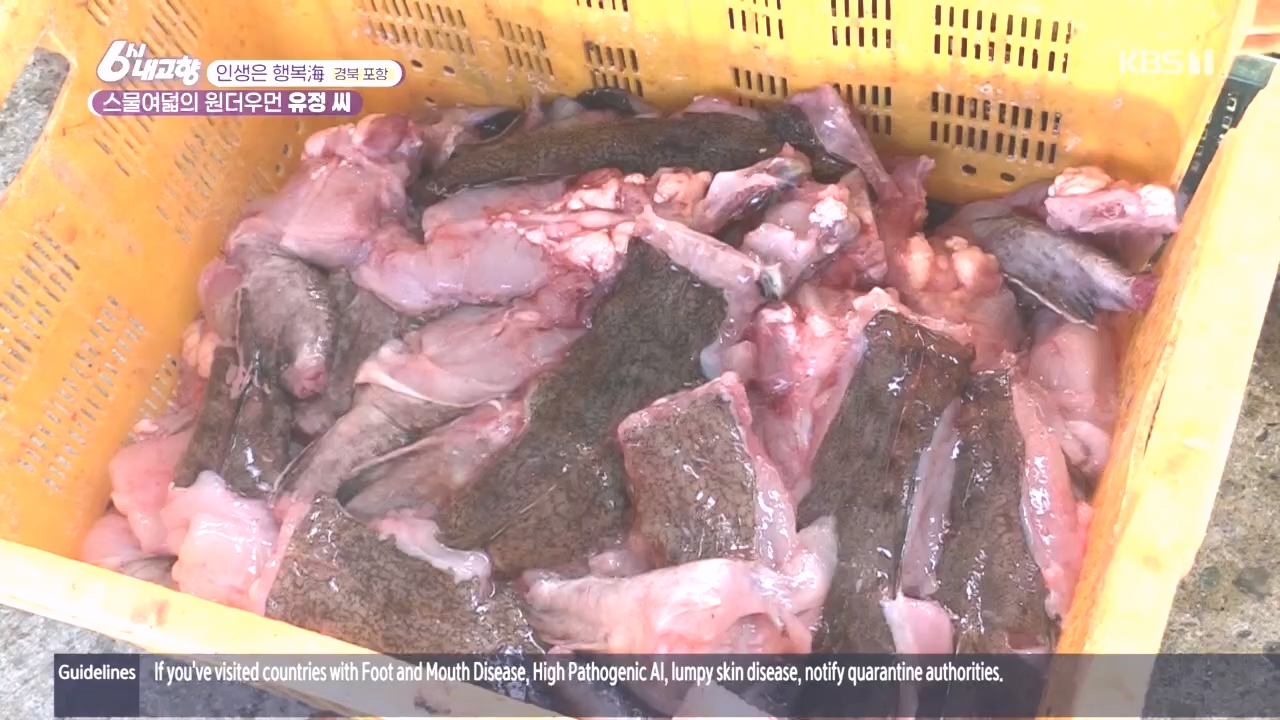 6시 내고향.E7896.231024p.H264-F1RST.mp4_20231024_204900.913.jpg