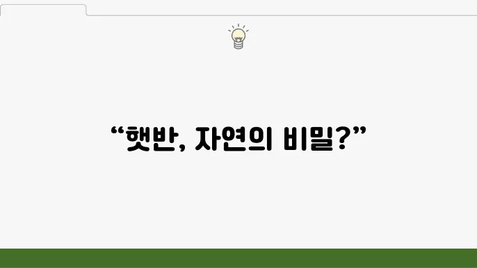 햇반 유통기한: 방부제 없이 상하지 않는 이유