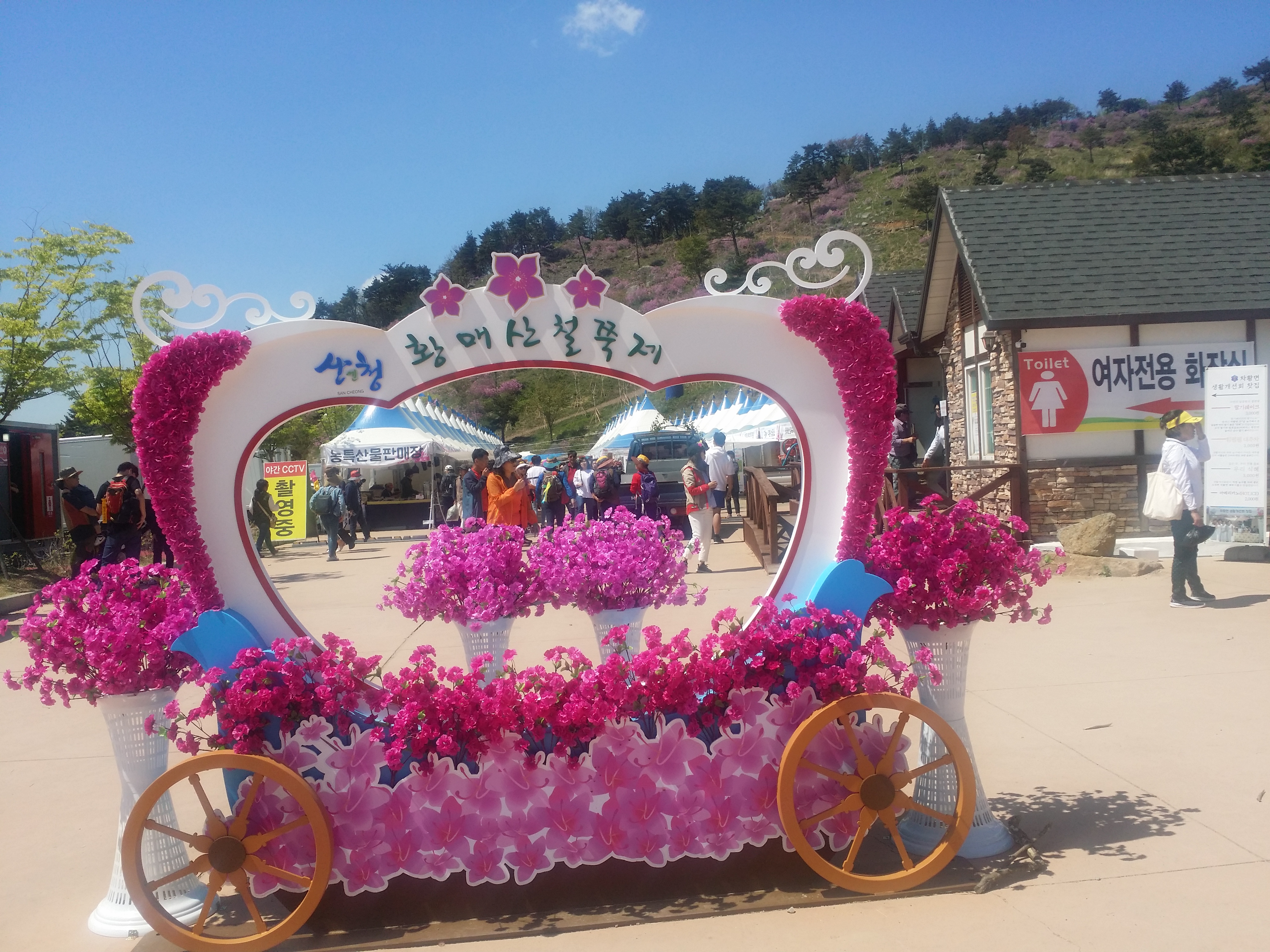  2019 황매산 철쭉제 황매봉 등반기 + 남사예담촌