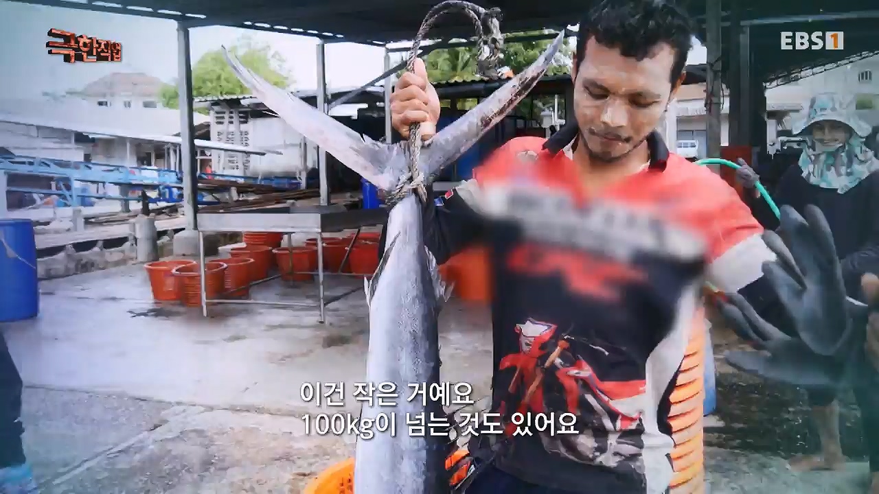 TV - 전 국민의 평생학교 EBS수산물의 천국 태국, 새우 양식과 말린 생선.mp4_20240604_201759.714.jpg