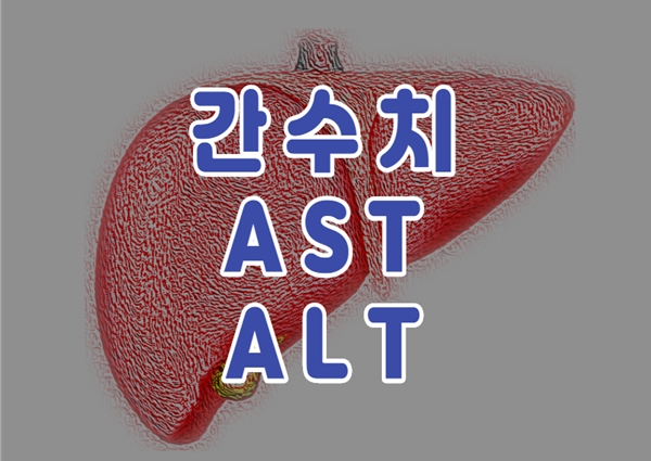 간수치가 높을 때 (정상 간수치, 간 나쁠때 증상)