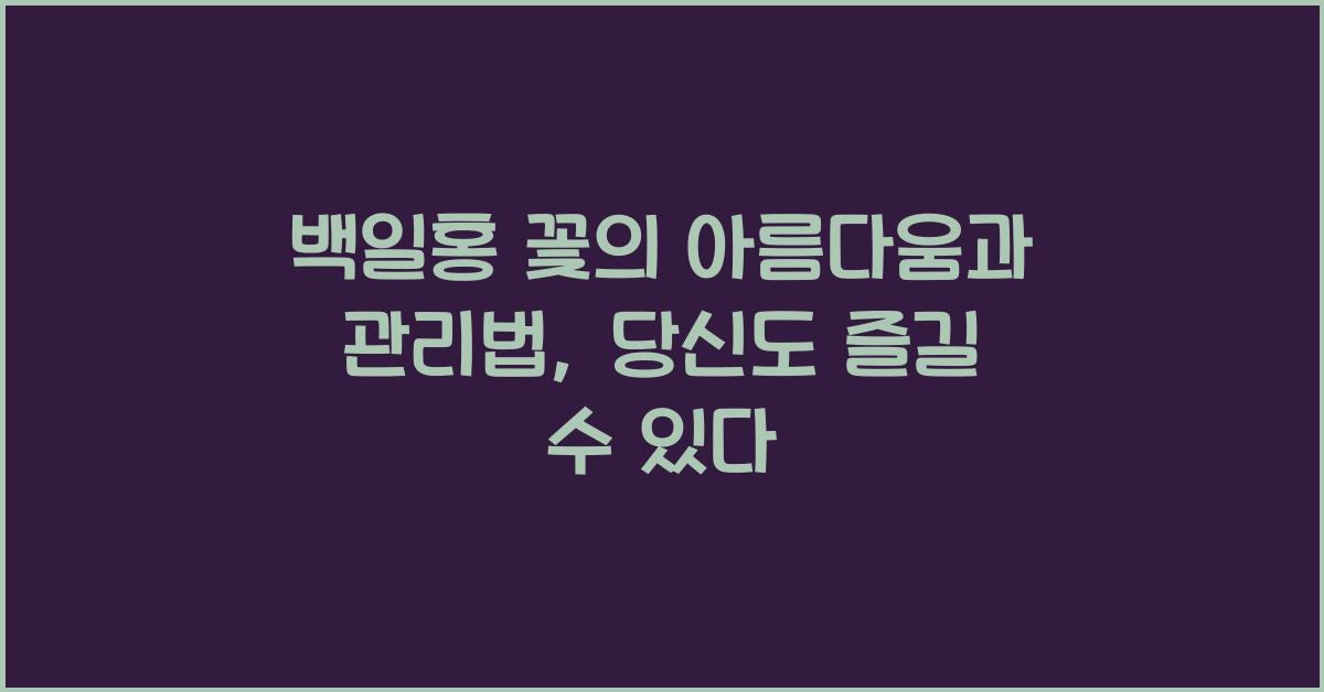 백일홍 꽃의 아름다움과 관리법