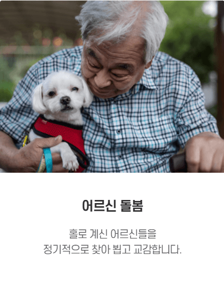 [2025년 모집] 서울반려견순찰대 신청 방법과 활동 안내 - 반려견과 함께하는 도시 안전 만들기