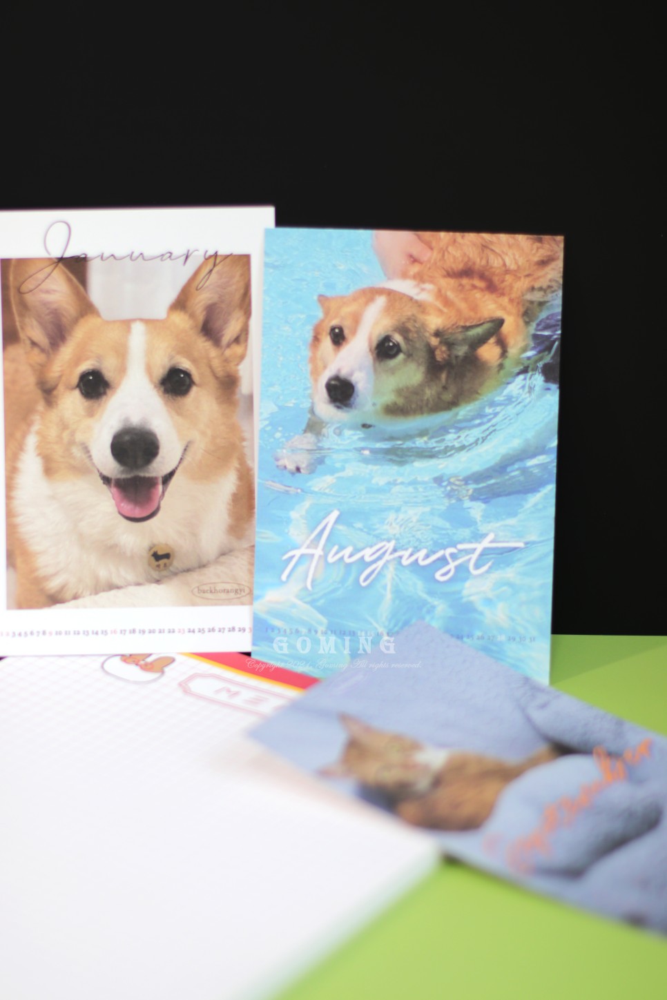 백호랑이 주문, 이웃집의 죽도록 사랑해!!!! 19