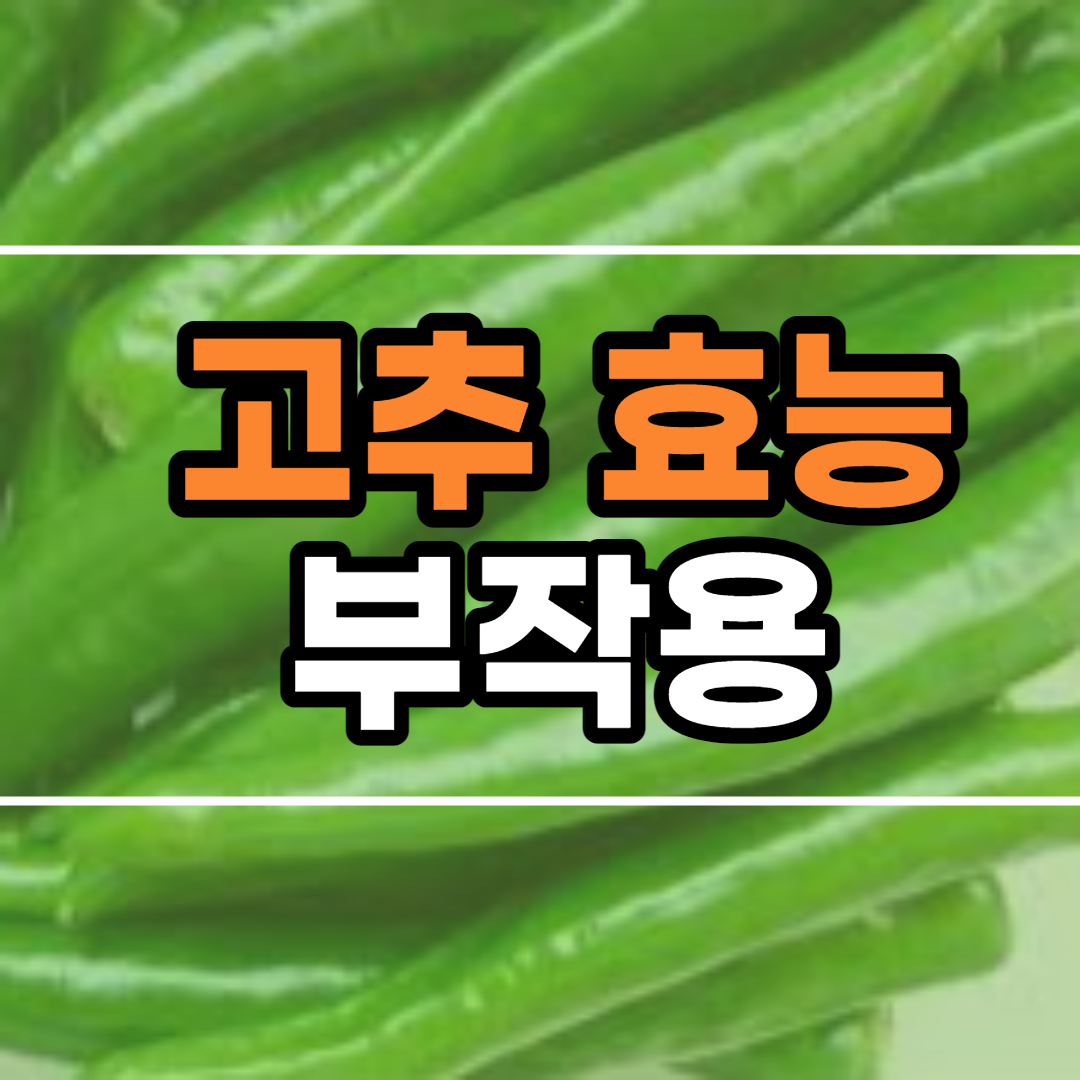  고추 효능 10가지 및 부작용