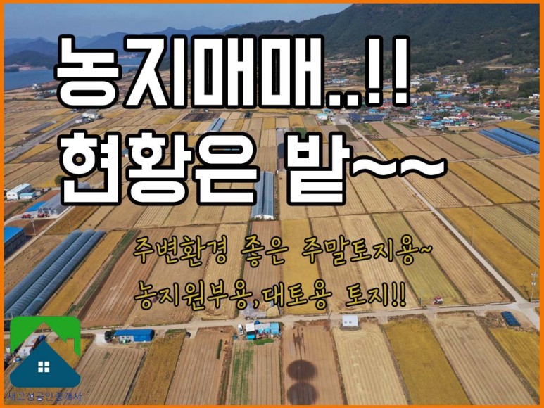  경남고성부동산(토지) 배수잘되는 논으로 현황은 밭(주말용토지,대토용 등으로 추천)