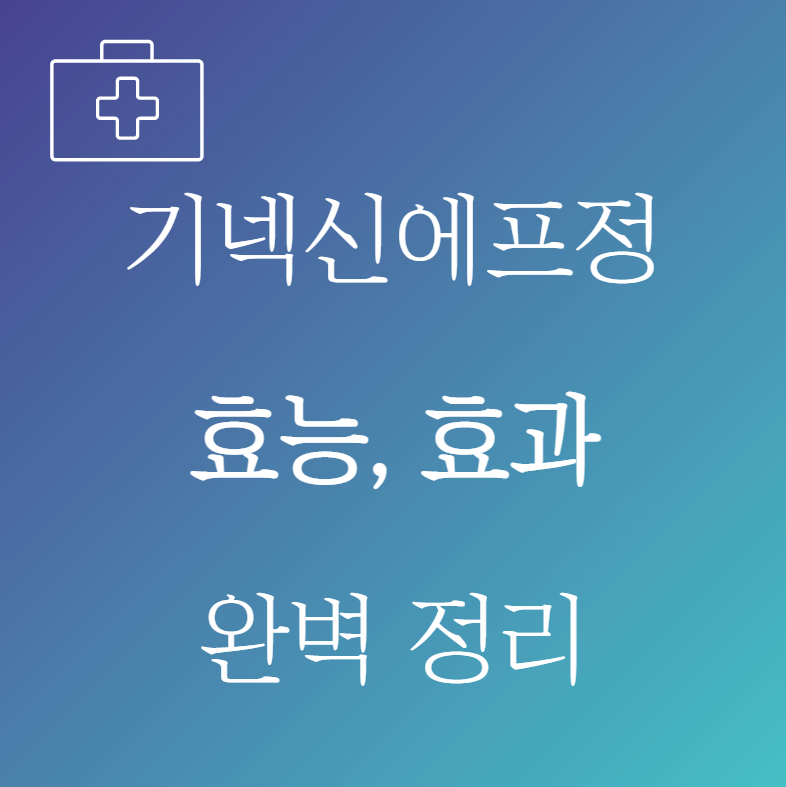 기넥신에프정