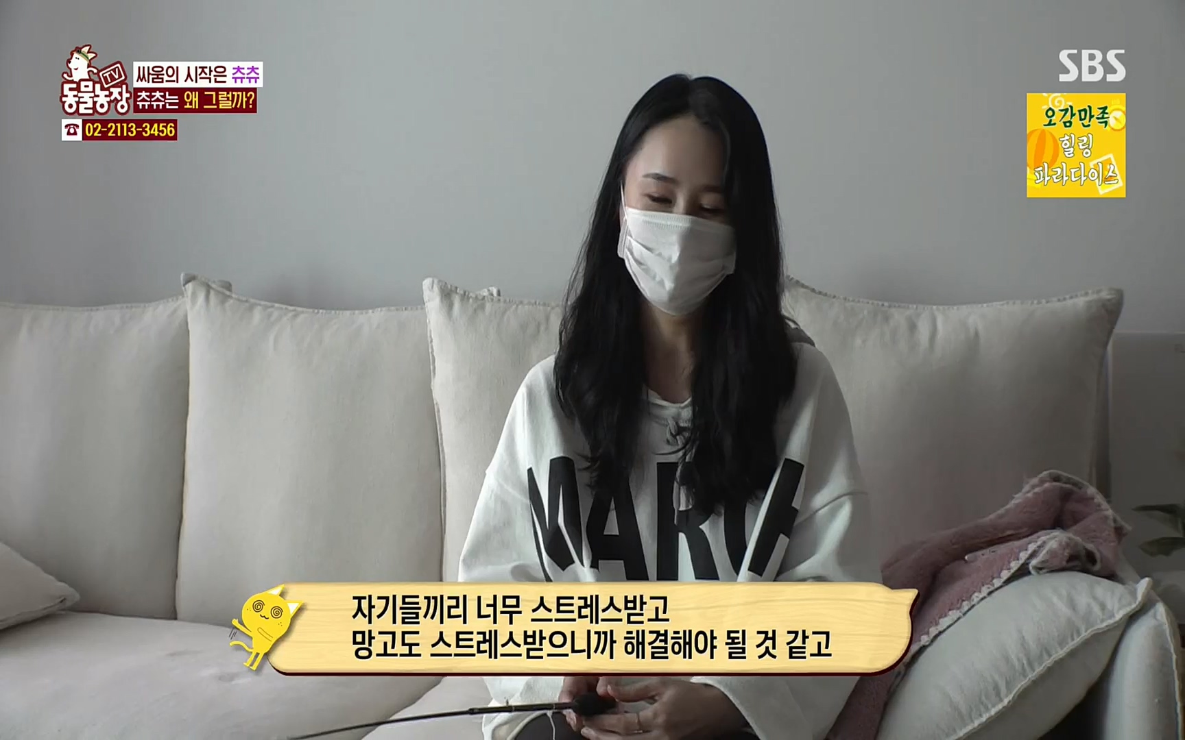 TV 동물농장.E1067.220501p.H264-F1RST.mp4_20220501_185009.509.jpg