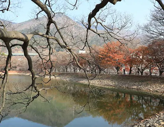 진해내수면환경생태공원