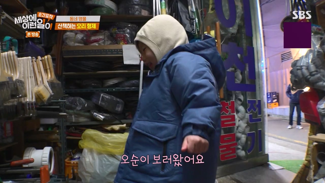 순간포착 세상에 이런일이.E1254.231203p-NEXT.mp4_20231203_140536.964.jpg