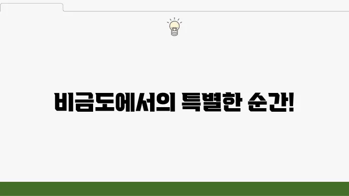 븈금도 배시간표 가볼만한 곳