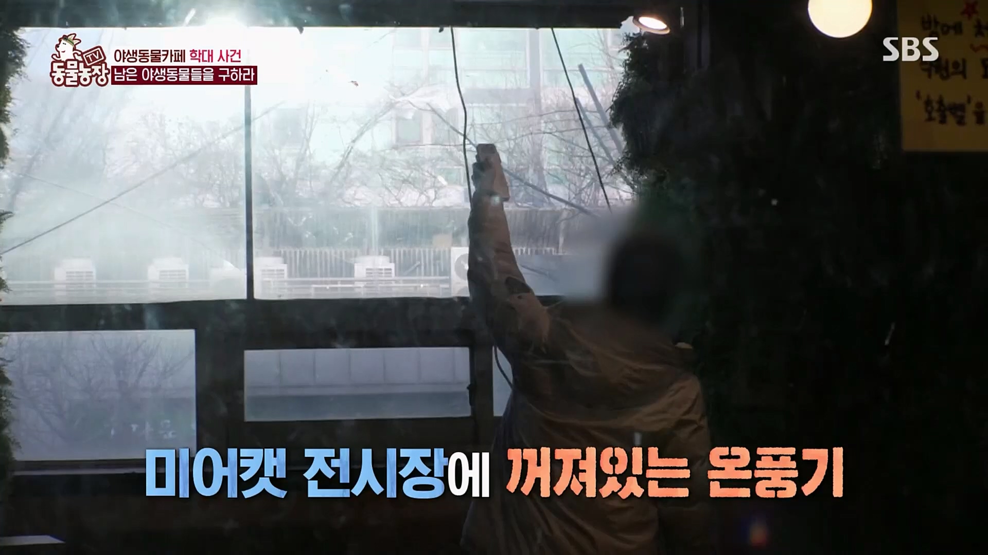 TV 동물농장.E1108.230212p.H264-F1RST.mp4_20230212_182157.007.jpg