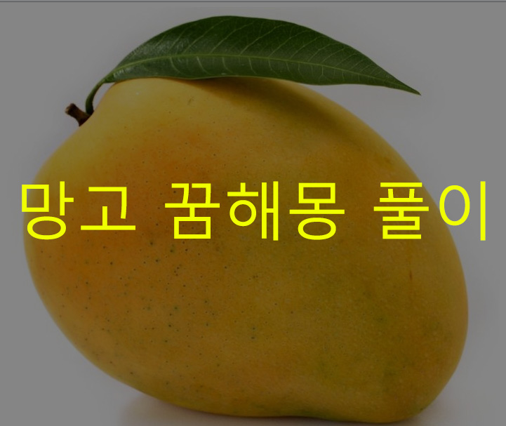 망고 꿈해몽 풀이