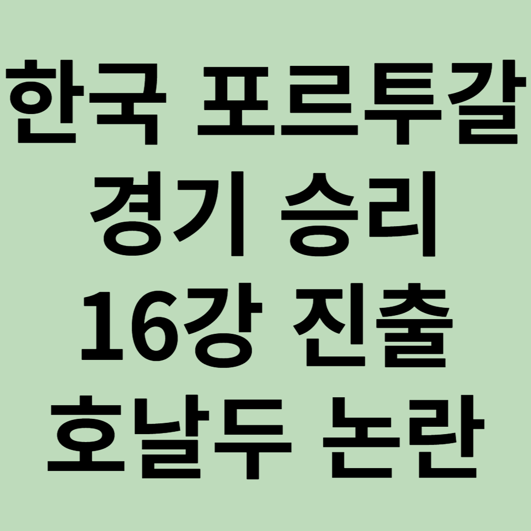 한국 포르투갈