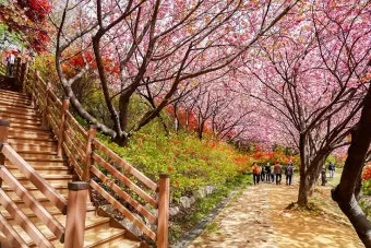 전주 완산칠봉 꽃동산 등산로 벙커 코스_9