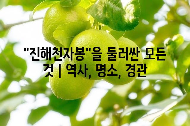 랜덤121