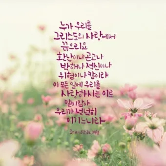 로마서 8장 성령 생명 묵상_12