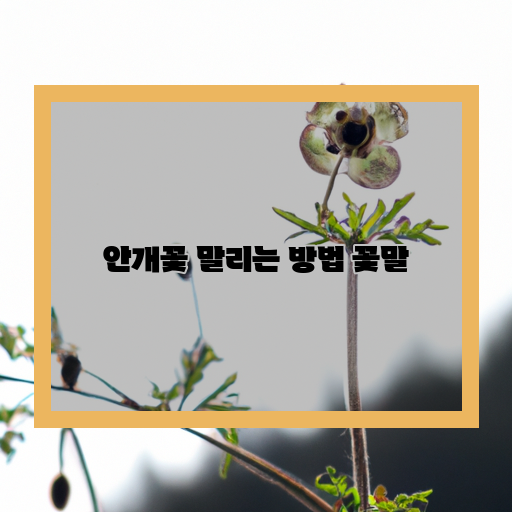  우아하게 말리는 안개꽃, 그 꽃말은?