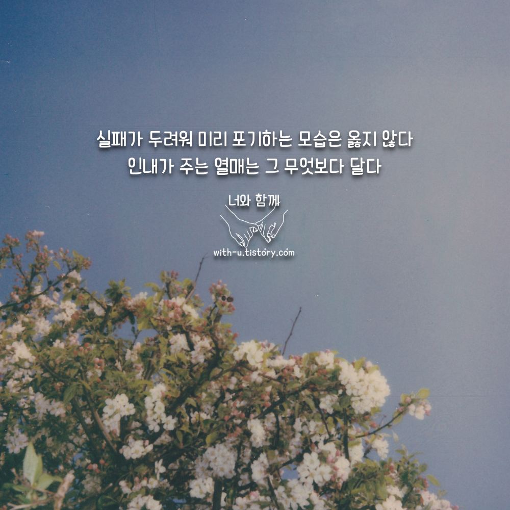  인내 명언 : 짧고 좋은 글귀 : 짧은 명언