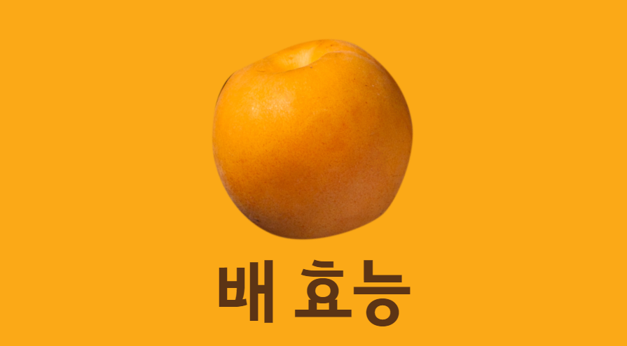  나만 모르는 배 효능