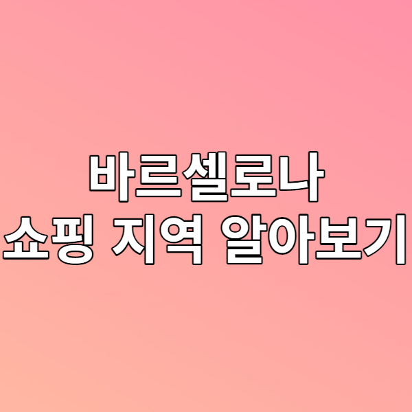  바르셀로나 쇼핑 지역 추천