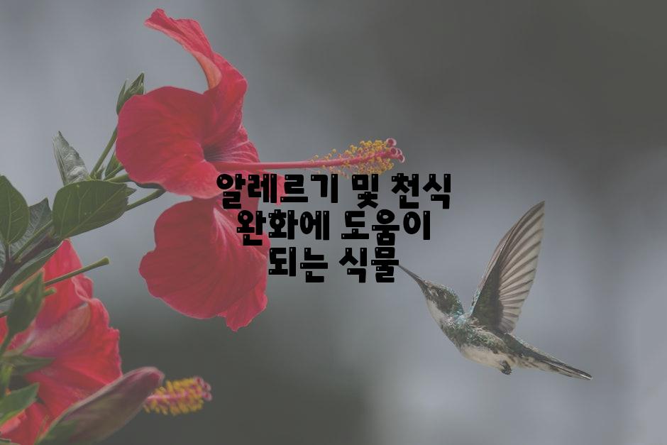 알레르기 및 천식 완화에 도움이 되는 식물
