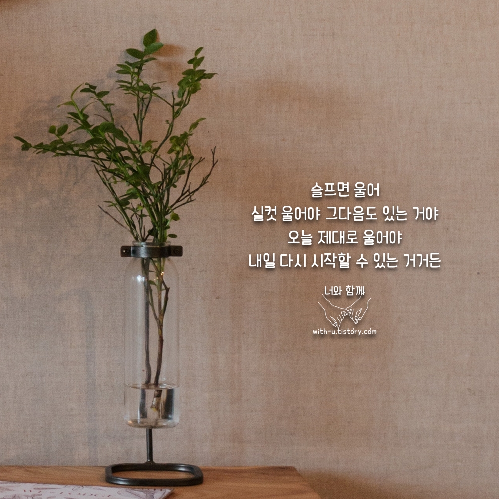  울음 명언 : 짧고 좋은 글귀 : 짧은 명언