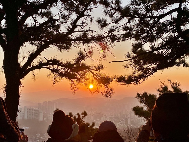 새해-첫-일출-사진