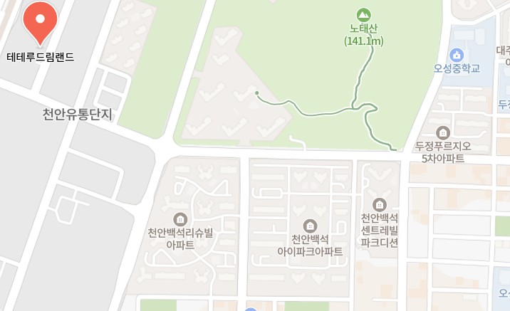 테테루드림랜드 사진