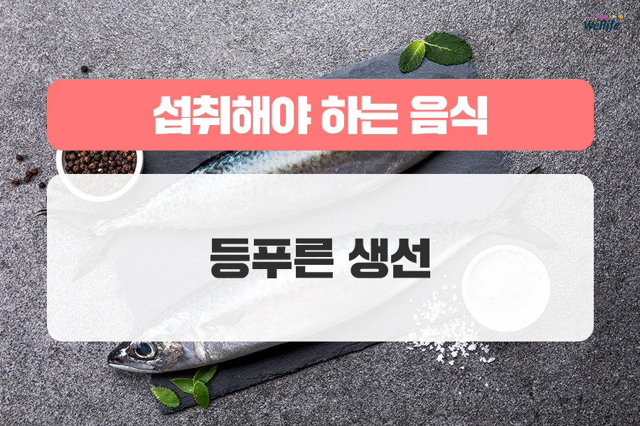 알고 생활습관과 식단으로 관리하자! 고지혈증의 원인은 바로 2