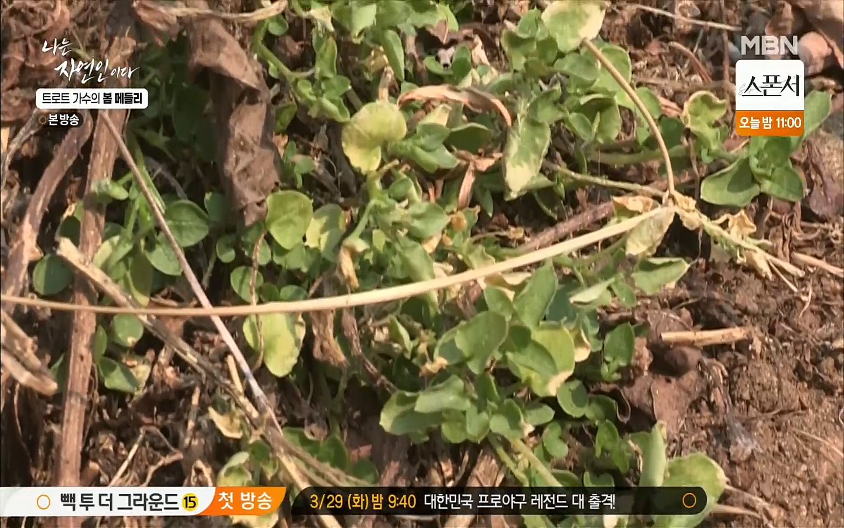 나는 자연인이다.E494.220323p.H264-F1RST.mp4_20220324_183454.418.jpg