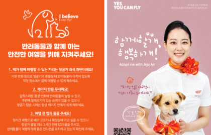 제주항공 반려동물 여행 혜택