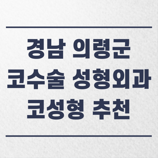 경남 의령군 코수술 성형외과 추천 코성형 잘하는 곳 가격 비용 금액 후기.png