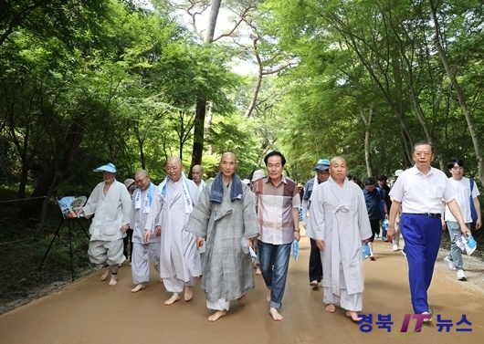 천년숲 이미지