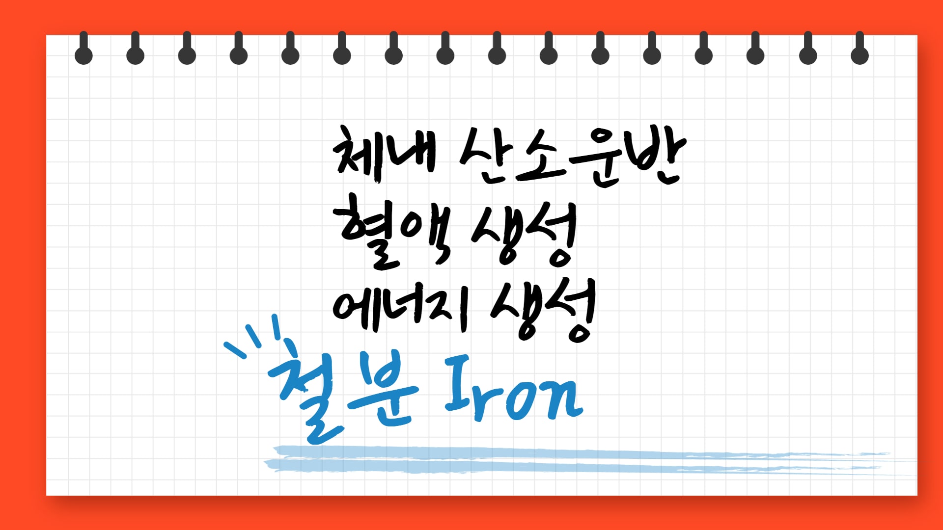  철분의 효능과 부작용 및 하루권장량