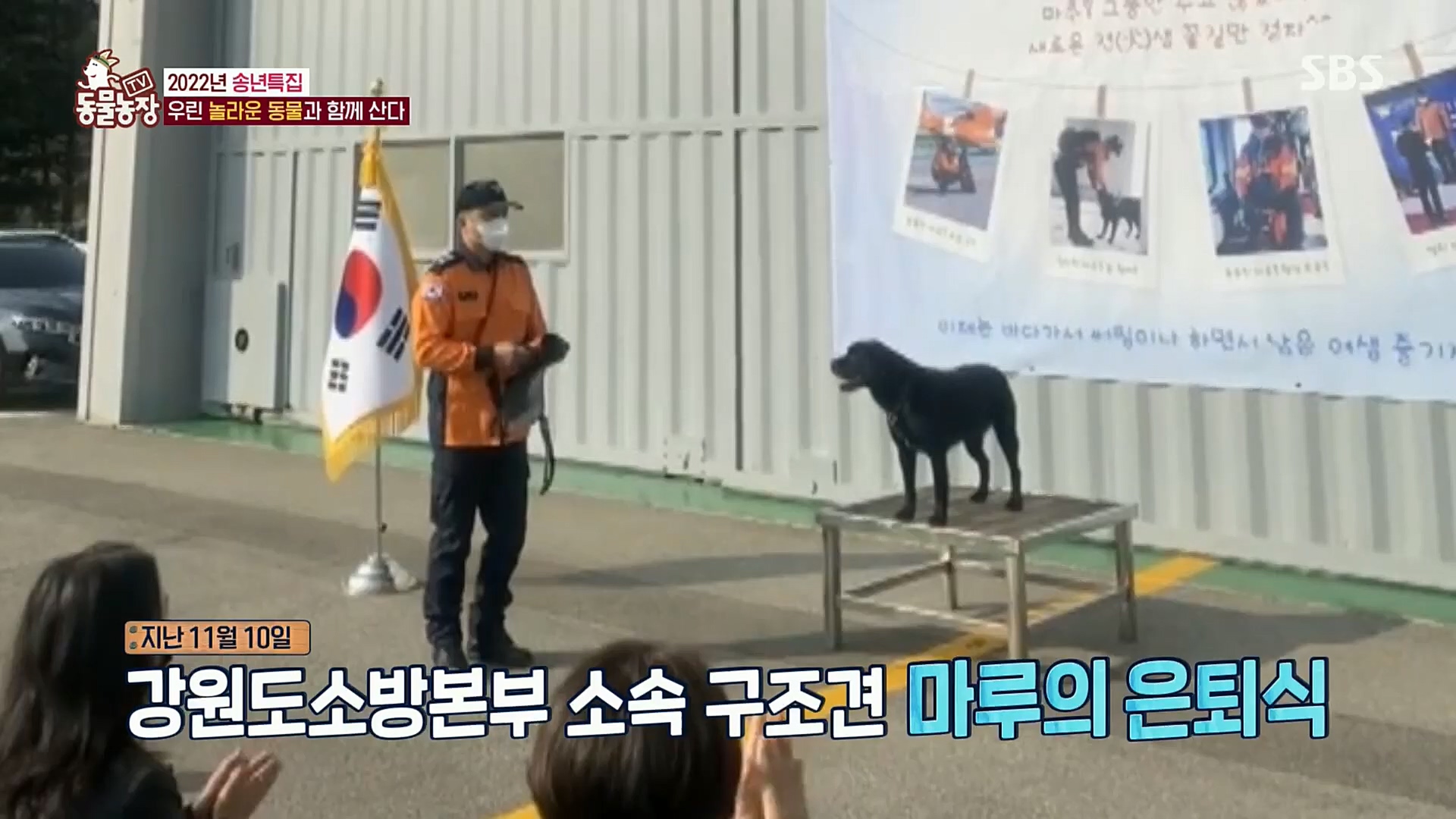 TV 동물농장.E1101.221225p.H264-F1RST.mp4_20221225_190252.886.jpg