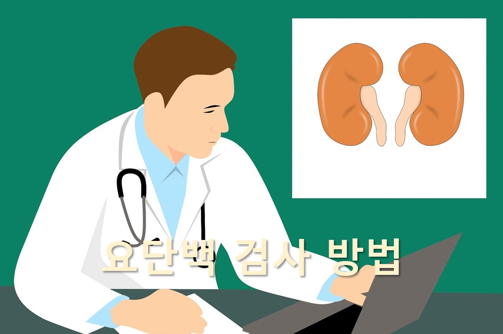  소변에 단백질 성분을 검사하는 요단백 검사 방법