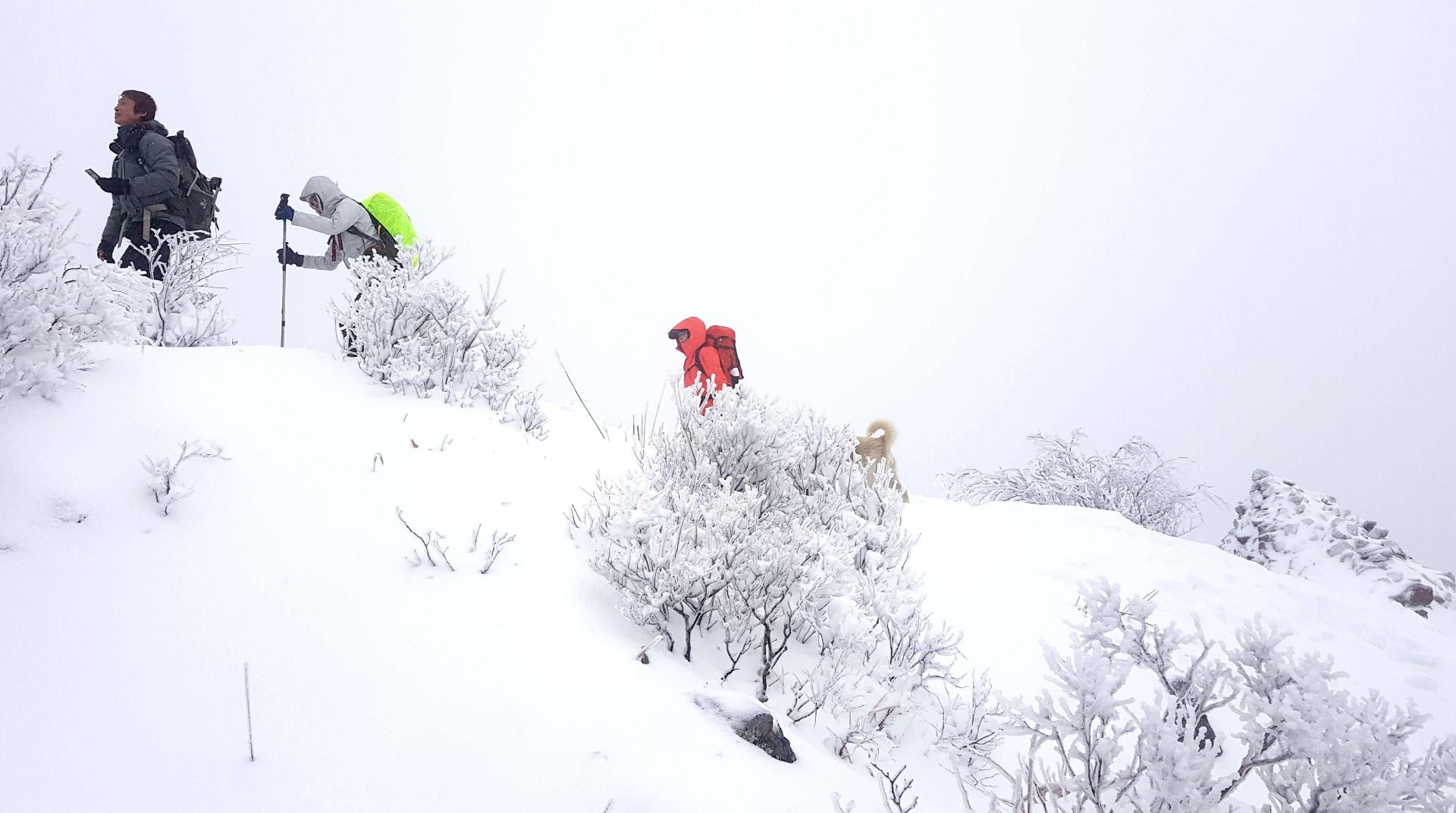 울산 가지산 정상 설경