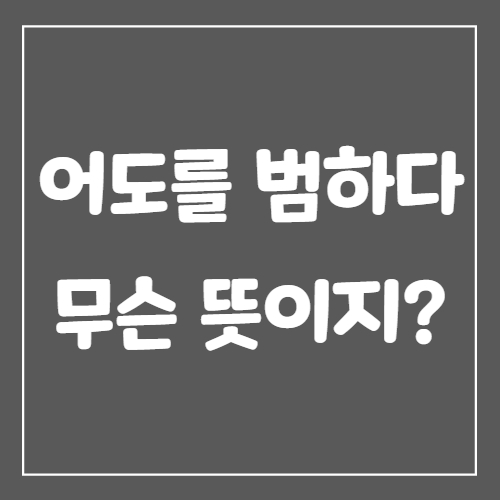  어도를 범하다 무슨 뜻이지?