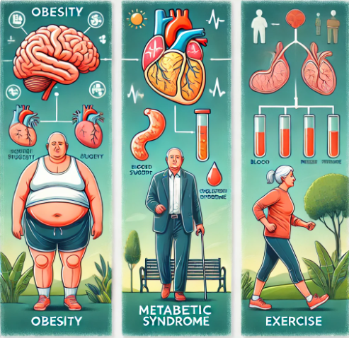 치매 예방과 체중 관리
비만(왼쪽)-인지 기능 저하와 관련된 위험 요인 중 하나로, 염증과 인슐린 저항성 증가와 관련됩니다.
대사 증후군(가운데)-고혈당, 고혈압, 고지혈증 등은 뇌 건강에도 영향을 미치므로 조기 관리가 중요합니다.
운동(오른쪽)-체중을 조절하고 혈류를 개선하며, 뇌를 활성화해 치매 예방에 효과적인 습관입니다.